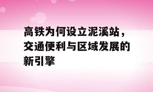 高铁为何设立泥溪站，交通便利与区域发展的新引擎