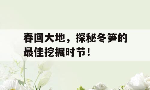 春回大地，探秘冬笋的最佳挖掘时节！