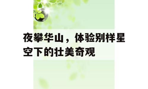 夜攀华山，体验别样星空下的壮美奇观