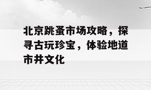 北京跳蚤市场攻略，探寻古玩珍宝，体验地道市井文化
