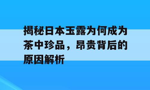 揭秘日本玉露为何成为茶中珍品，昂贵背后的原因解析