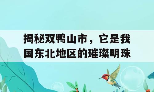揭秘双鸭山市，它是我国东北地区的璀璨明珠