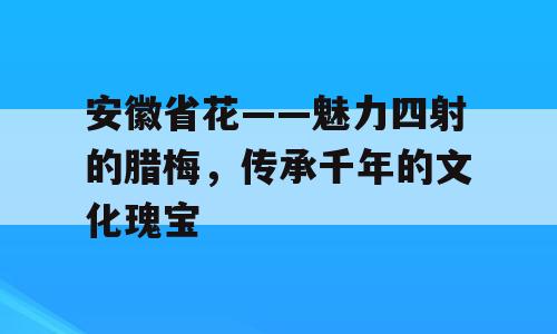 安徽省花——魅力四射的腊梅，传承千年的文化瑰宝