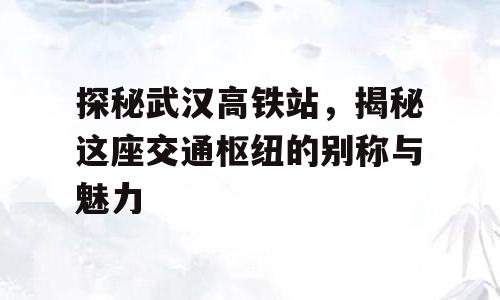 探秘武汉高铁站，揭秘这座交通枢纽的别称与魅力
