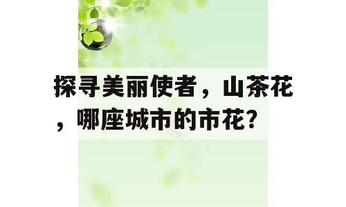 探寻美丽使者，山茶花，哪座城市的市花？