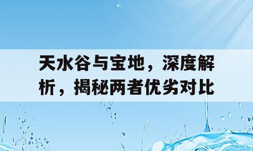 天水谷与宝地，深度解析，揭秘两者优劣对比