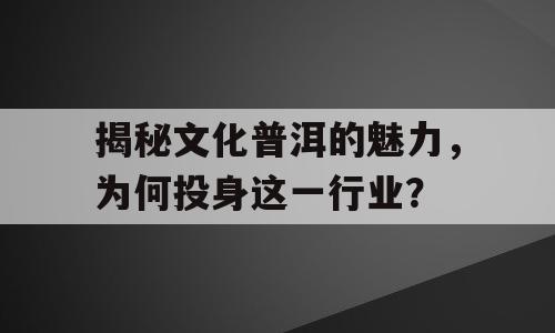 揭秘文化普洱的魅力，为何投身这一行业？