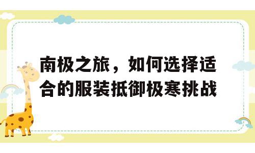 南极之旅，如何选择适合的服装抵御极寒挑战