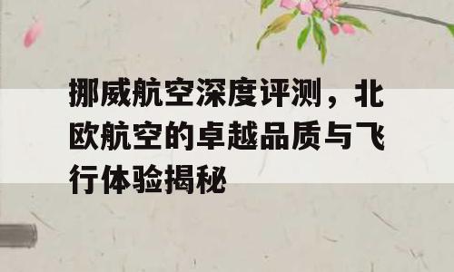 挪威航空深度评测，北欧航空的卓越品质与飞行体验揭秘
