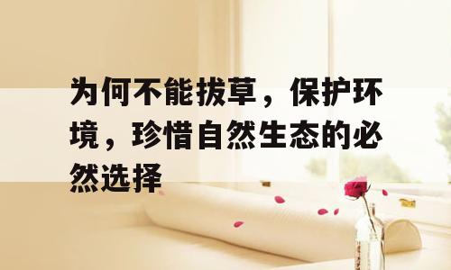 为何不能拔草，保护环境，珍惜自然生态的必然选择