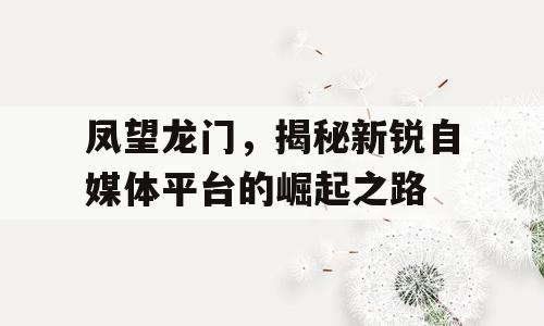 凤望龙门，揭秘新锐自媒体平台的崛起之路