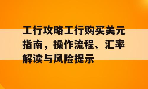 工行攻略工行购买美元指南，操作流程、汇率解读与风险提示