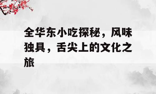 全华东小吃探秘，风味独具，舌尖上的文化之旅