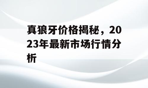 真狼牙价格揭秘，2023年最新市场行情分析