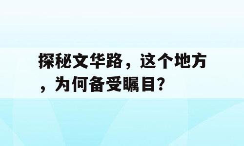 探秘文华路，这个地方，为何备受瞩目？