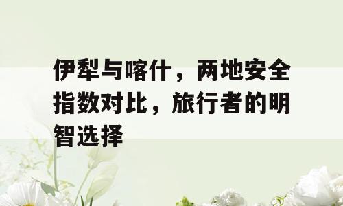 伊犁与喀什，两地安全指数对比，旅行者的明智选择