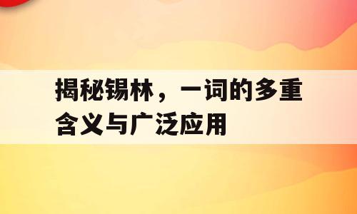 揭秘锡林，一词的多重含义与广泛应用