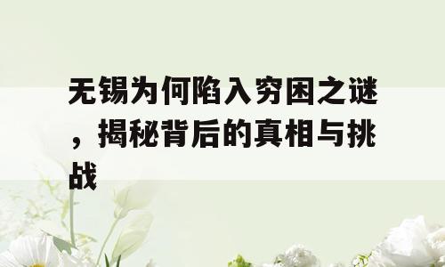 无锡为何陷入穷困之谜，揭秘背后的真相与挑战