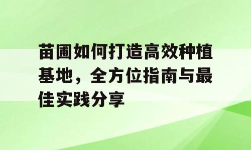 苗圃如何打造高效种植基地，全方位指南与最佳实践分享