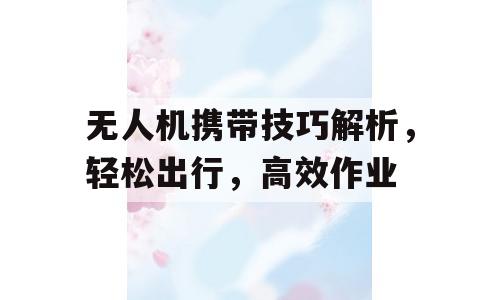 无人机携带技巧解析，轻松出行，高效作业