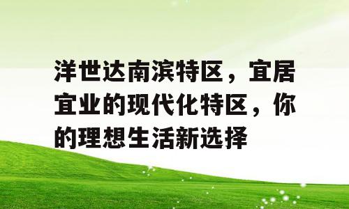 洋世达南滨特区，宜居宜业的现代化特区，你的理想生活新选择