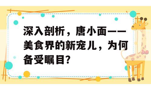 深入剖析，唐小面——美食界的新宠儿，为何备受瞩目？