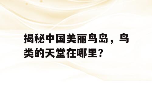 揭秘中国美丽鸟岛，鸟类的天堂在哪里？