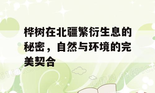 桦树在北疆繁衍生息的秘密，自然与环境的完美契合