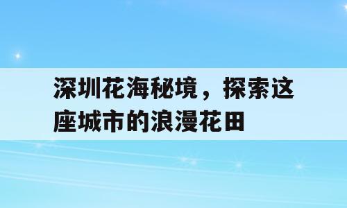 深圳花海秘境，探索这座城市的浪漫花田