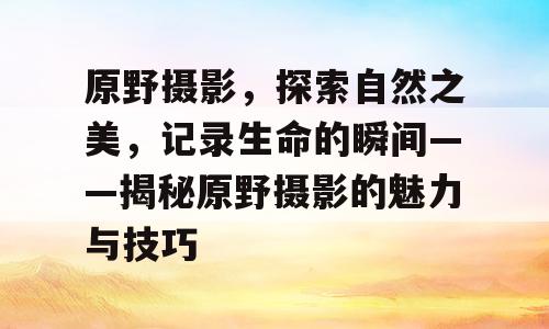 原野摄影，探索自然之美，记录生命的瞬间——揭秘原野摄影的魅力与技巧