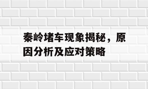 秦岭堵车现象揭秘，原因分析及应对策略