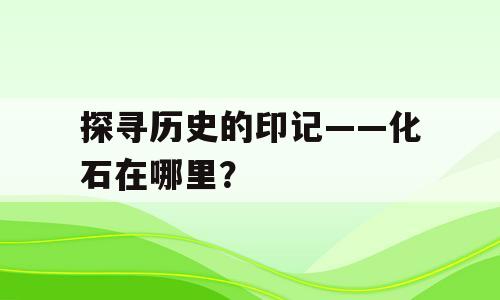 探寻历史的印记——化石在哪里？