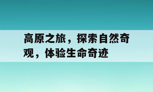 高原之旅，探索自然奇观，体验生命奇迹