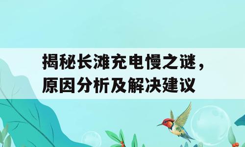揭秘长滩充电慢之谜，原因分析及解决建议