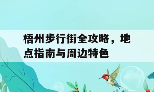 梧州步行街全攻略，地点指南与周边特色