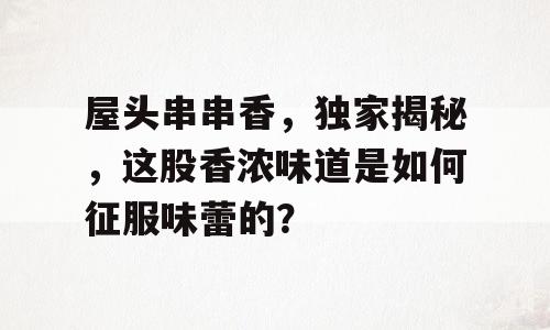 屋头串串香，独家揭秘，这股香浓味道是如何征服味蕾的？