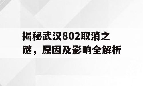 揭秘武汉802取消之谜，原因及影响全解析