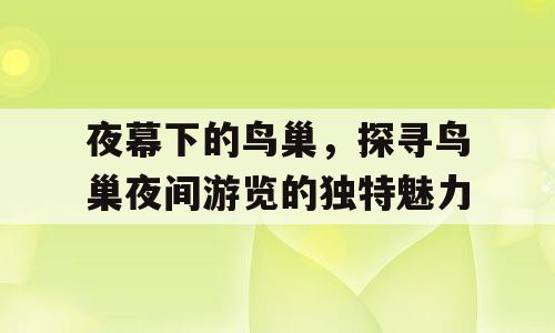 夜幕下的鸟巢，探寻鸟巢夜间游览的独特魅力
