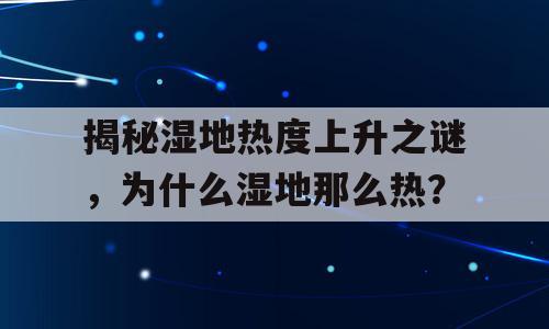 揭秘湿地热度上升之谜，为什么湿地那么热？