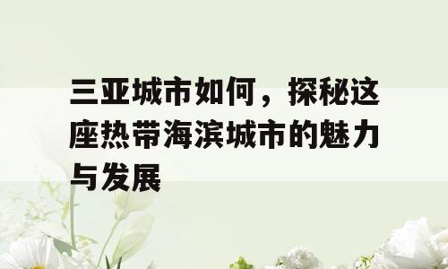 三亚城市如何，探秘这座热带海滨城市的魅力与发展