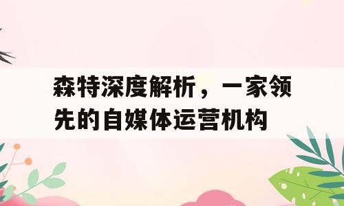 森特深度解析，一家领先的自媒体运营机构
