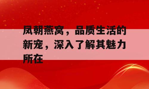 凤朝燕窝，品质生活的新宠，深入了解其魅力所在