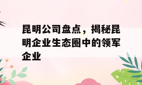昆明公司盘点，揭秘昆明企业生态圈中的领军企业