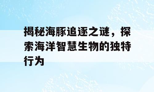 揭秘海豚追逐之谜，探索海洋智慧生物的独特行为
