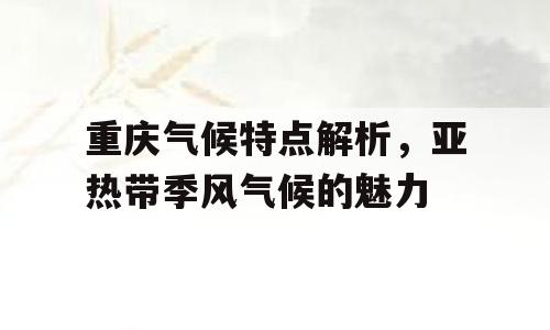 重庆气候特点解析，亚热带季风气候的魅力