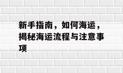 新手指南，如何海运，揭秘海运流程与注意事项