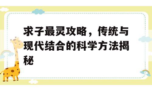 求子最灵攻略，传统与现代结合的科学方法揭秘