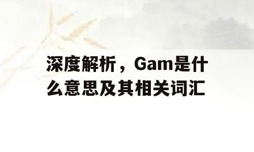 深度解析，Gam是什么意思及其相关词汇