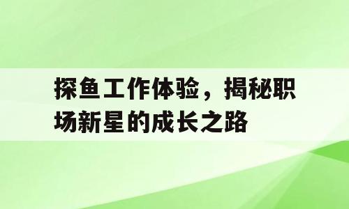 探鱼工作体验，揭秘职场新星的成长之路