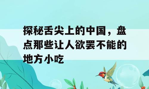 探秘舌尖上的中国，盘点那些让人欲罢不能的地方小吃